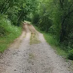 Urinj