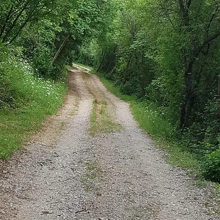 Urinj